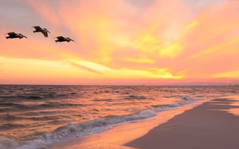 Oceanfront vacation rental in Florida with beautiful beach views